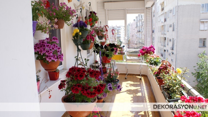 Rengarenk çiçeklerle peyzaj çalışması yapılmış balkon