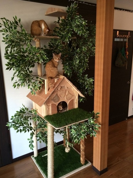 2019 Kedi Ağaç Evi Dekorasyonu