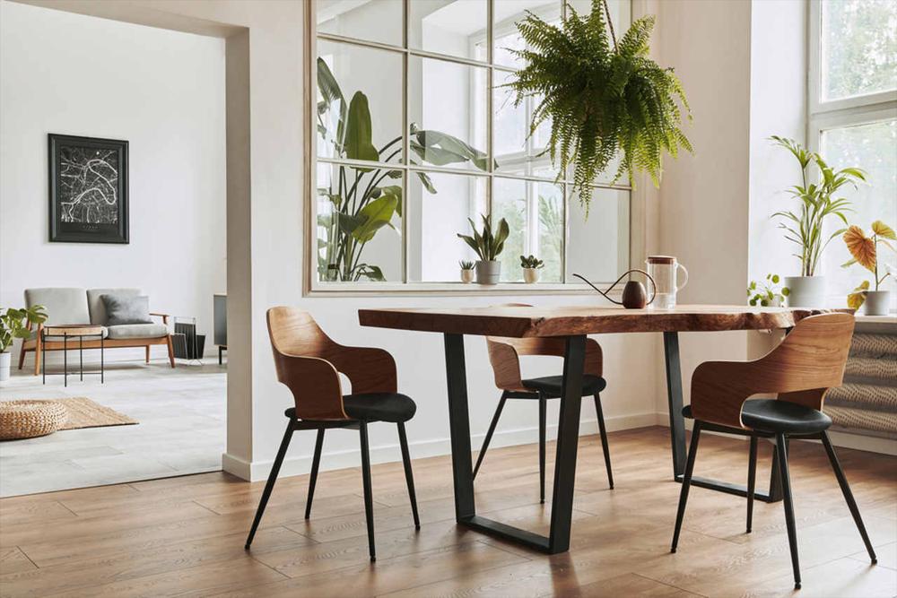 Doğal Ahşap Salon Salomanje