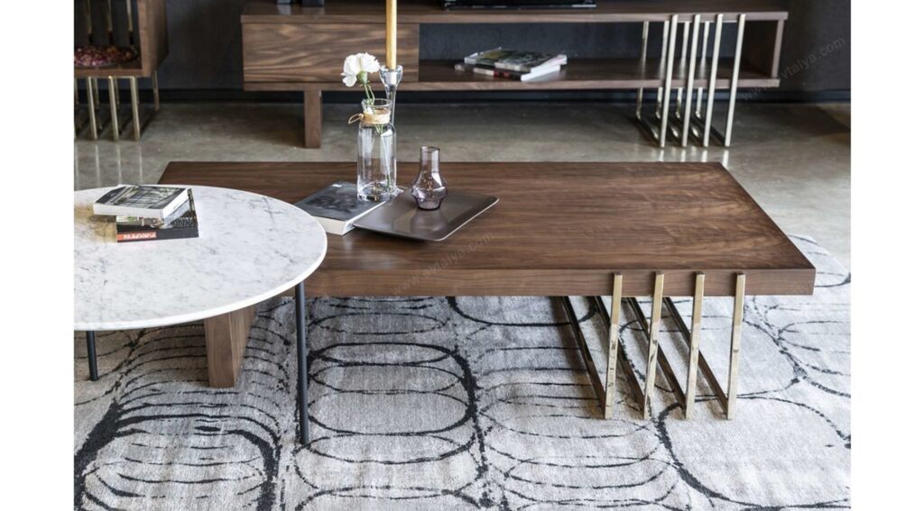 Modern ve Minimalist Masif Orta Sehpalar
